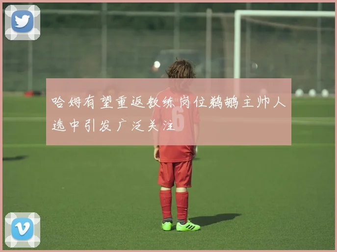 哈姆有望重返教练岗位鹈鹕主帅人选中引发广泛关注